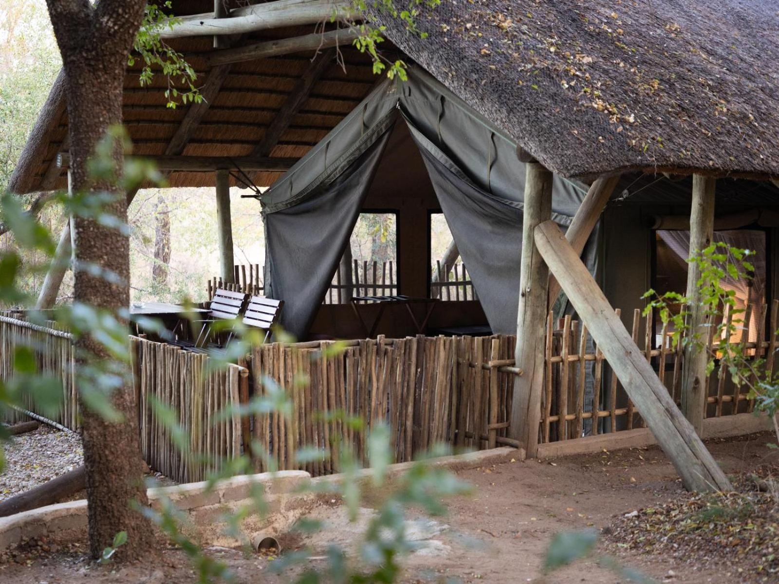 Kwambili Game Lodge Thornybush Game Reserve Habitación foto