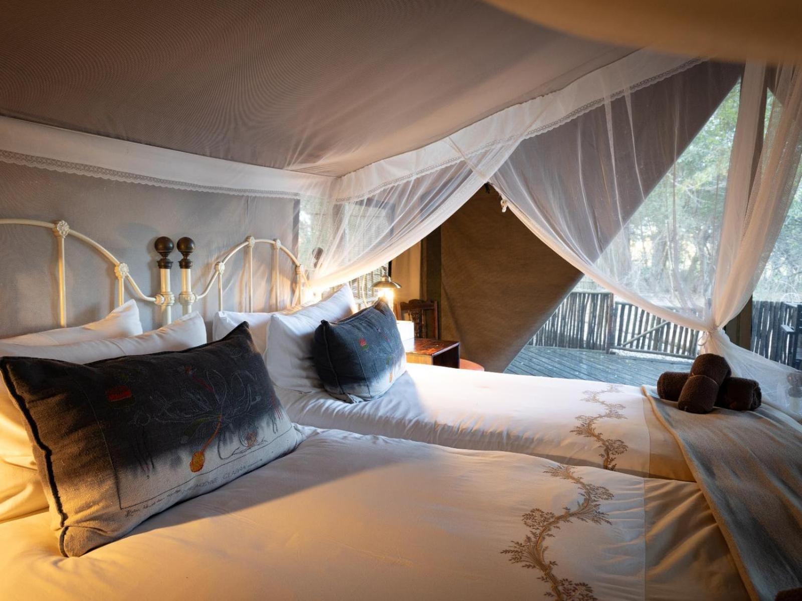 Kwambili Game Lodge Thornybush Game Reserve Exterior foto