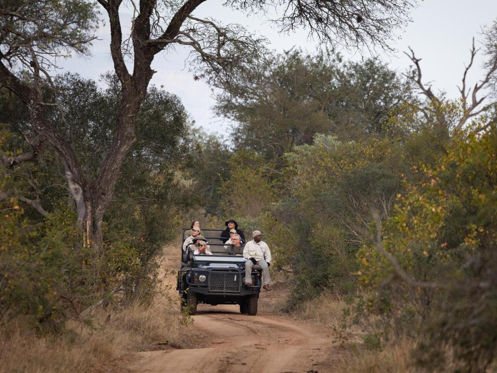 Kwambili Game Lodge Thornybush Game Reserve Exterior foto